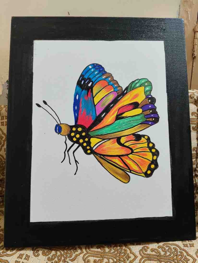 Spectrum Butterfly