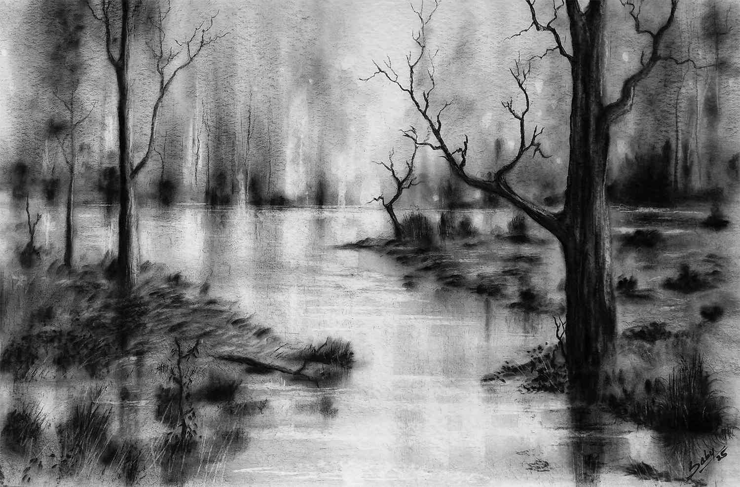 The forest