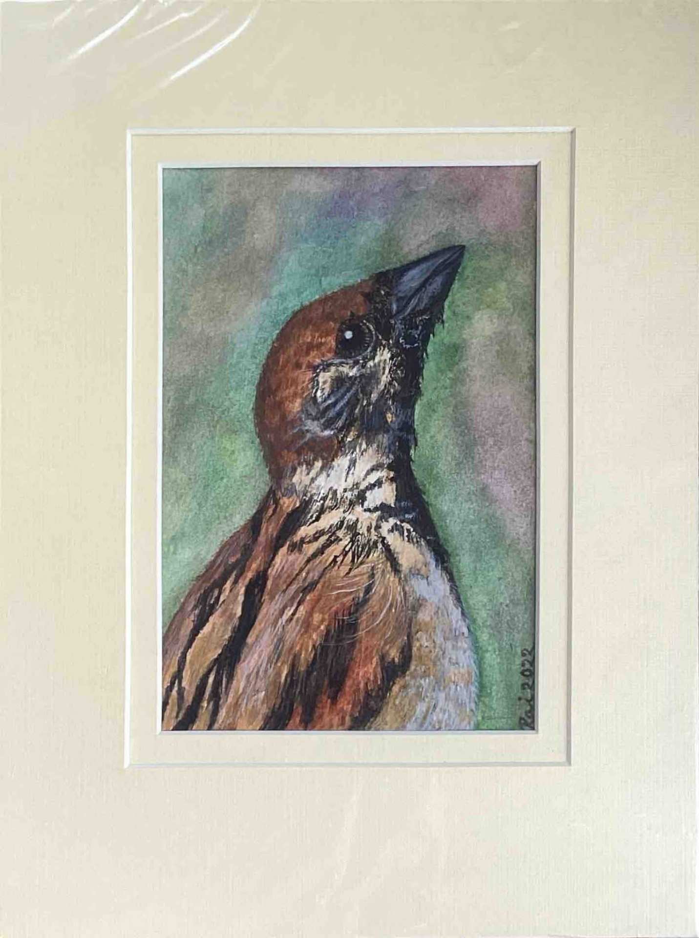Lonely Sparrow