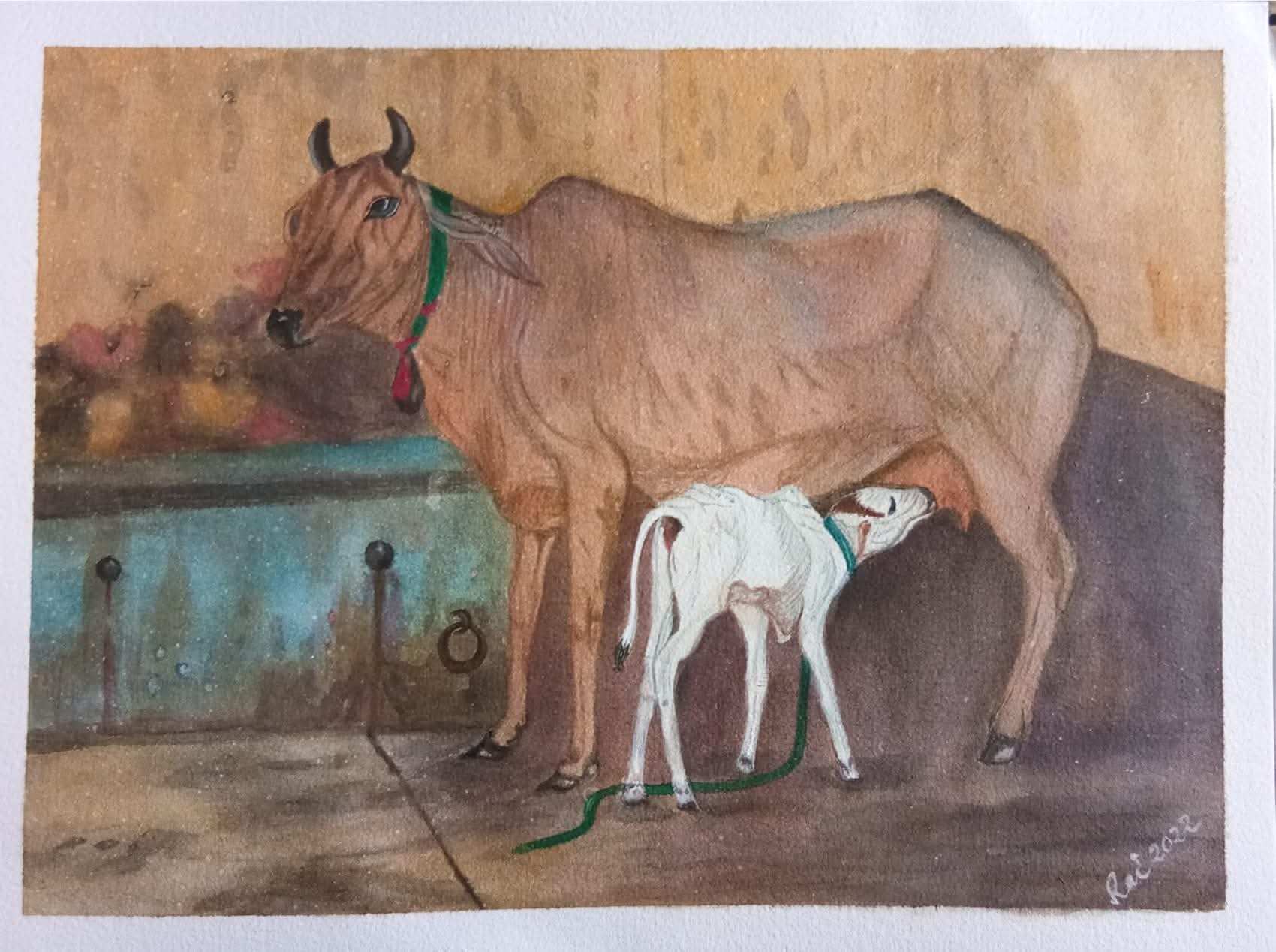 Nursing Mother Cow