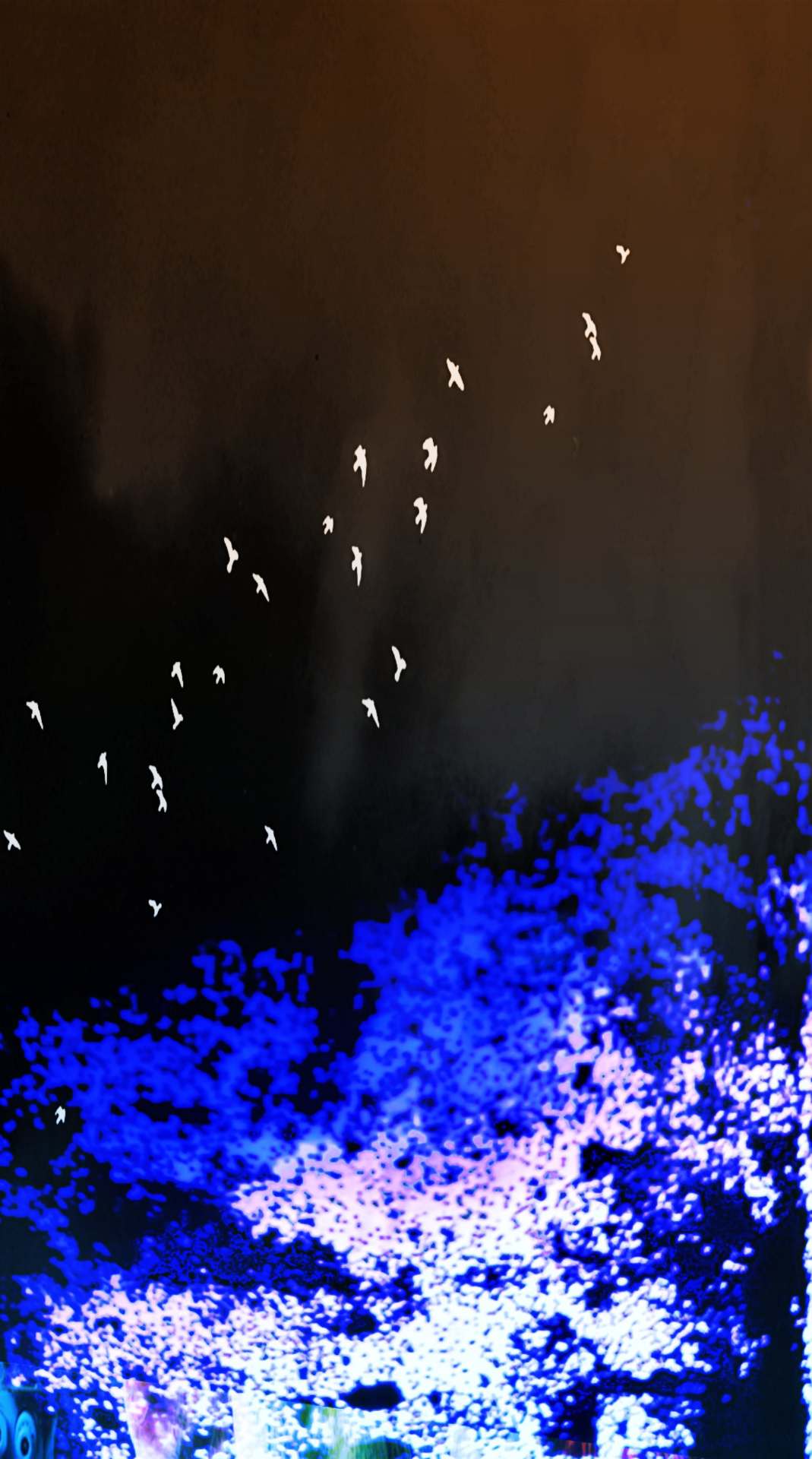 Pratibimb: Lifeographer