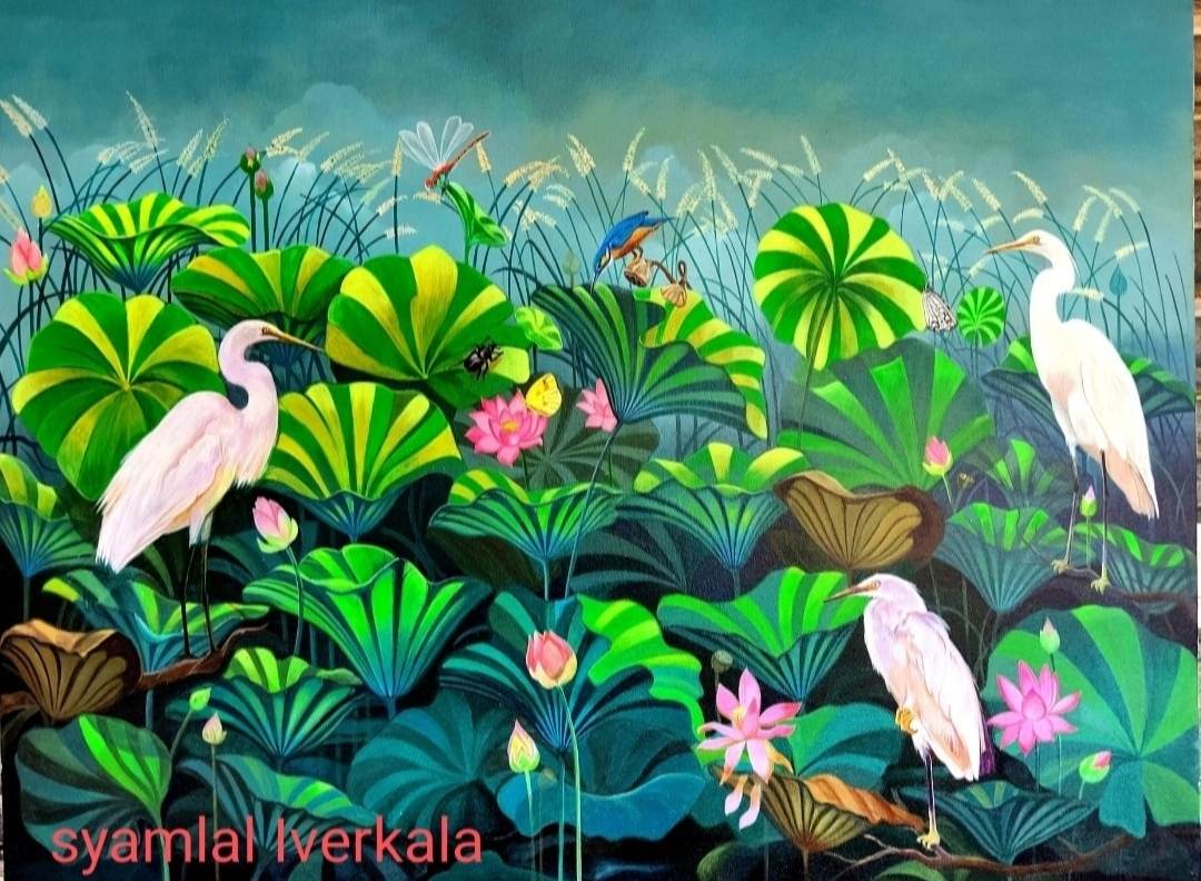 Lotus pond before noon