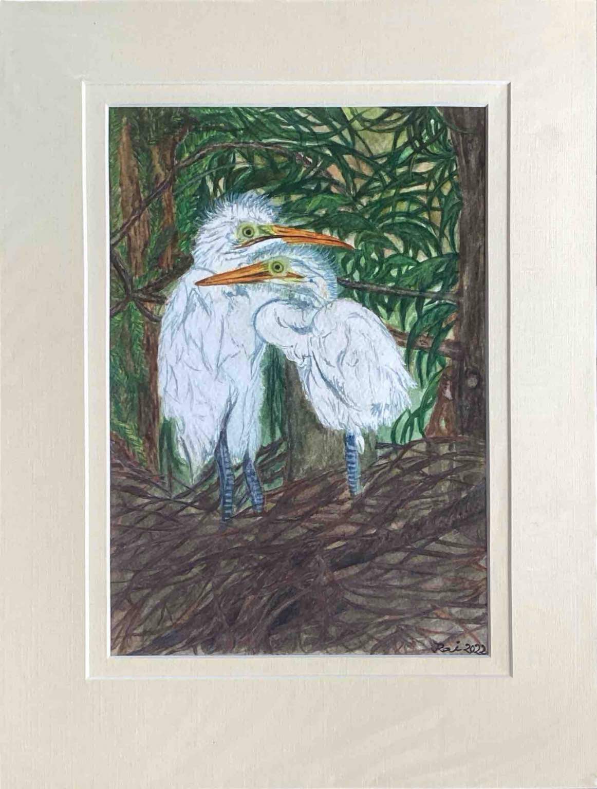Herons in marshy land