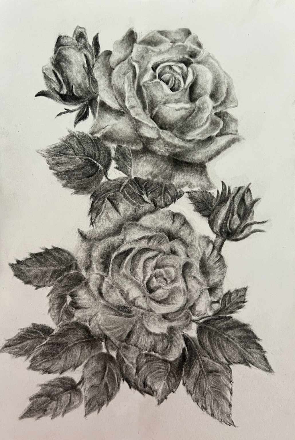 Monochrome Roses