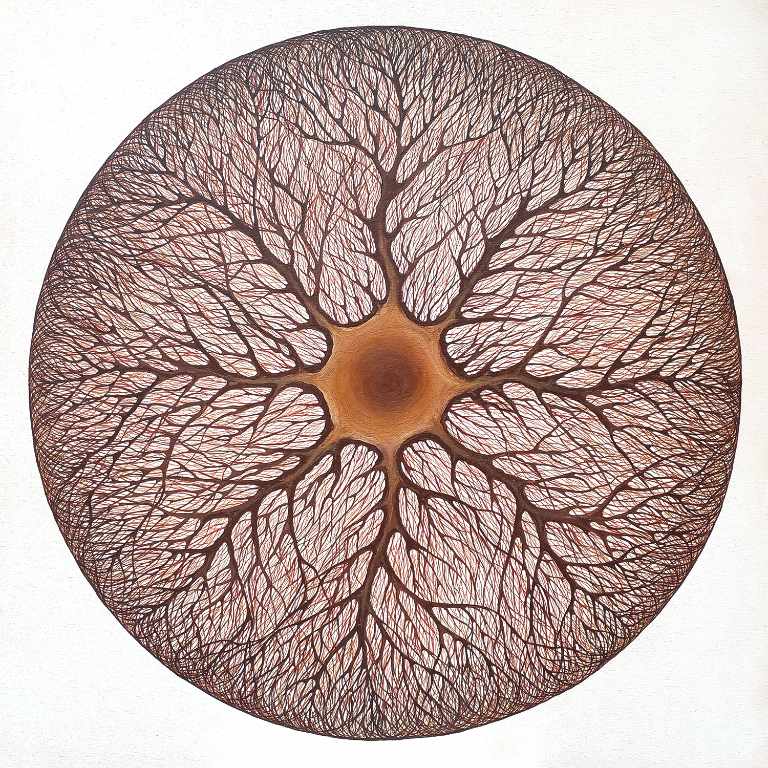 Veins of Light or Roots of Memory