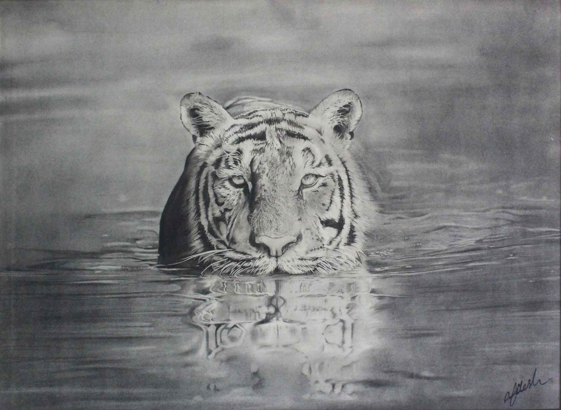 The hunt