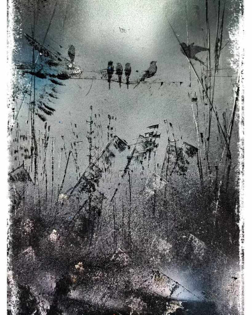 Stillness After Noise