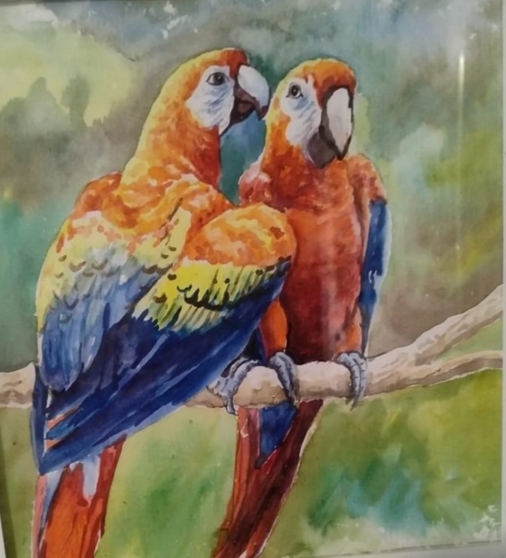 Two Macaws – A Watercolor Painting