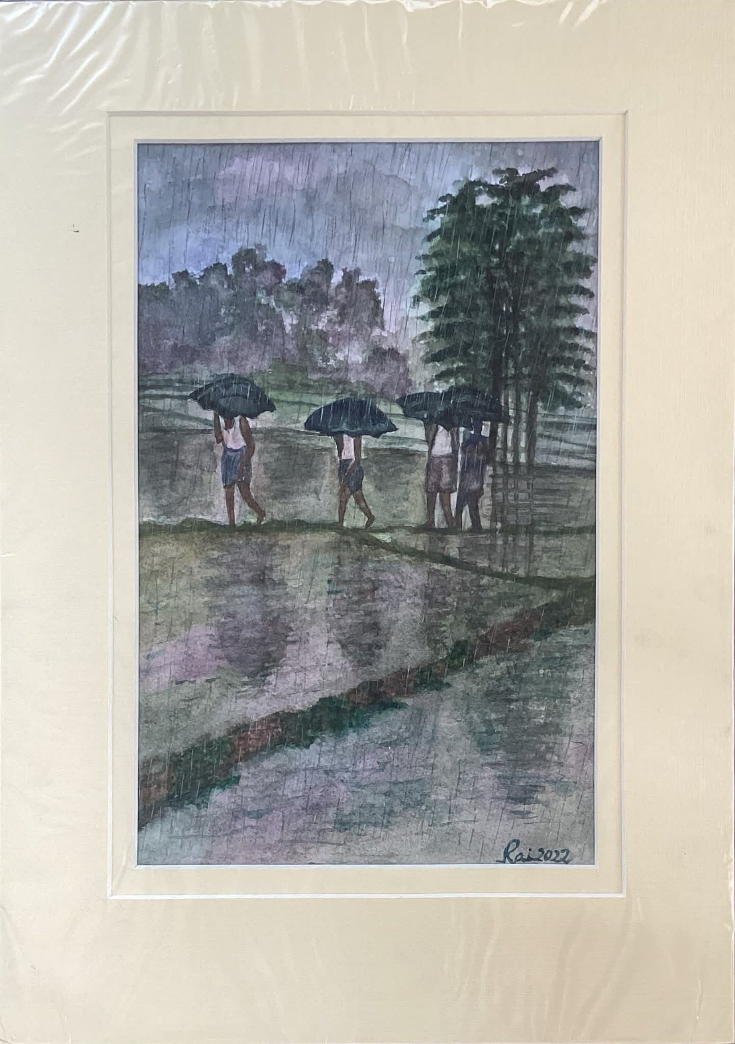 Landscape of paddy field on a rainy day, in rural Bengal.
