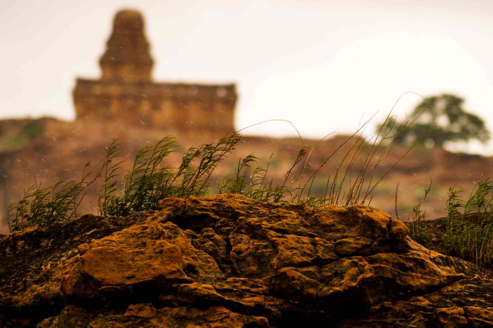 Grit and Grace: Echoes of Chalukya