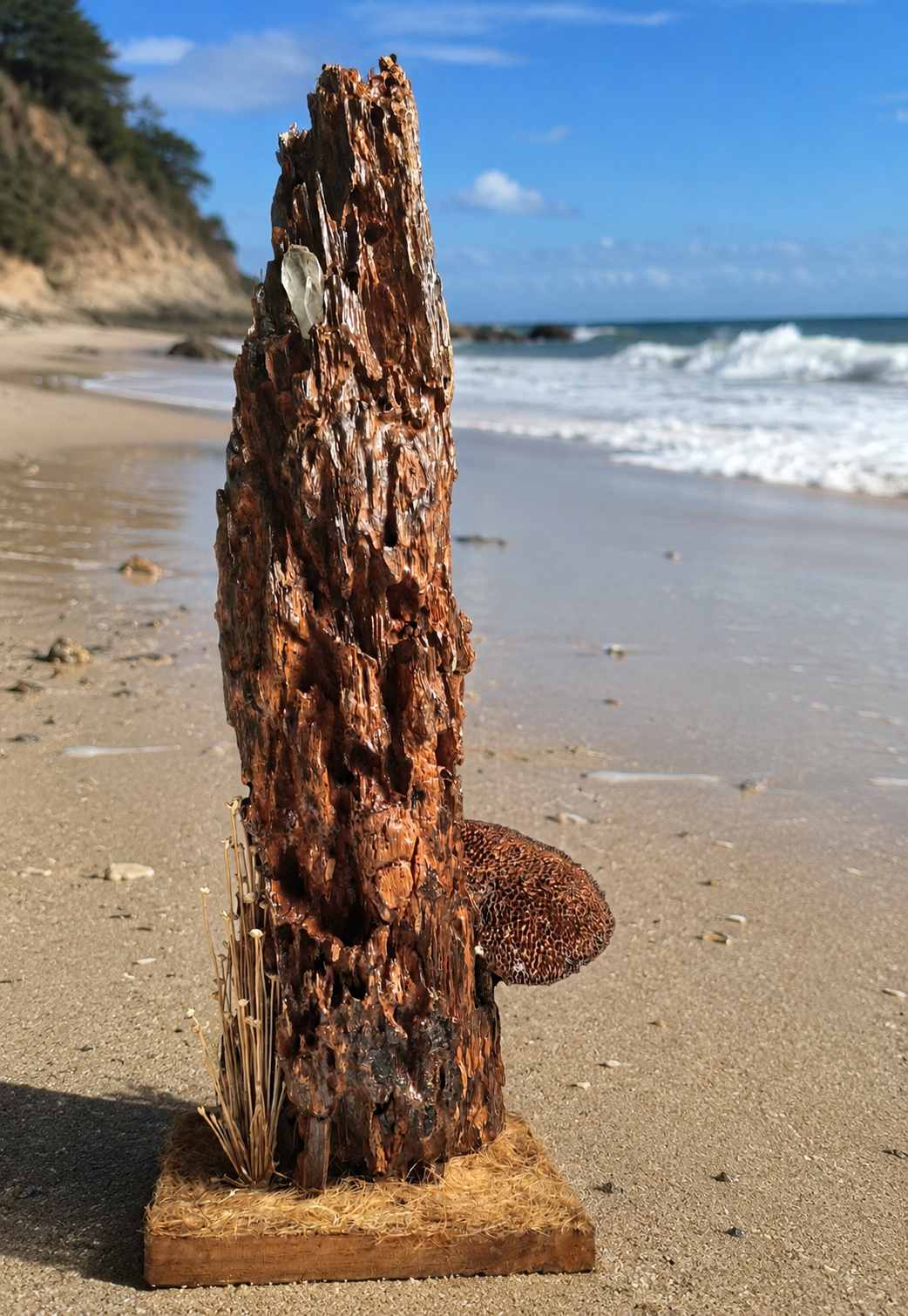 Rustic Handcrafted Natural Tree Bark Sculpture with Crystal & Dried Botanical Accents