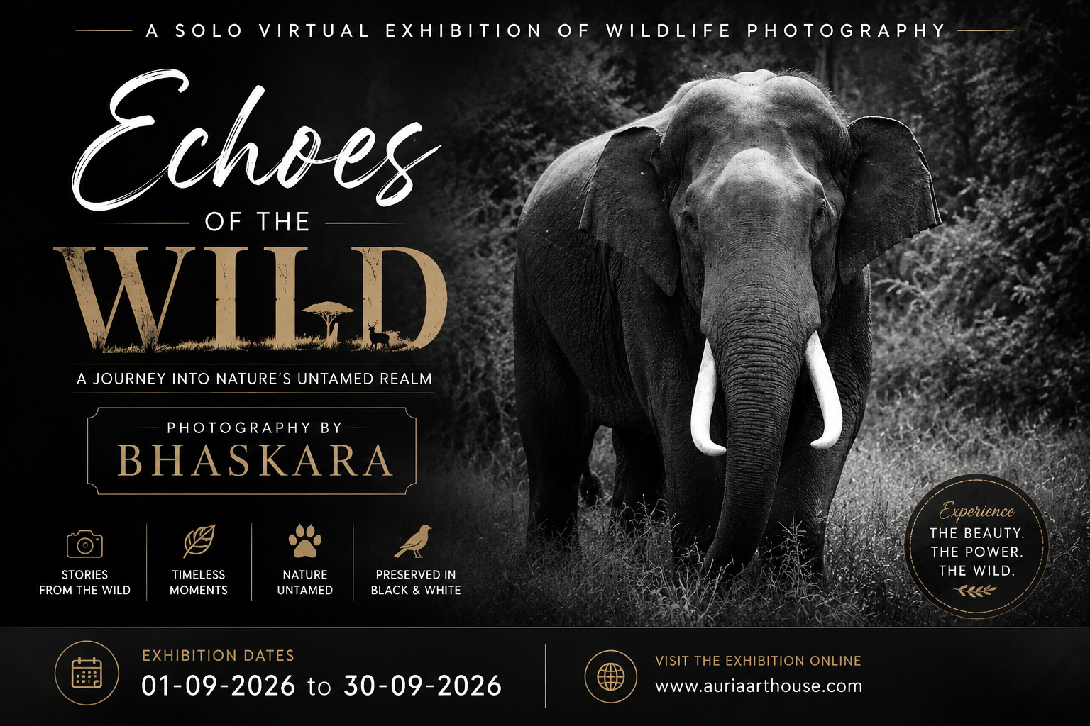 Echoes of the Wild